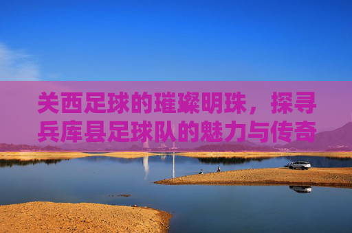 关西足球的璀璨明珠,探寻兵库县足球队的魅力与传奇
