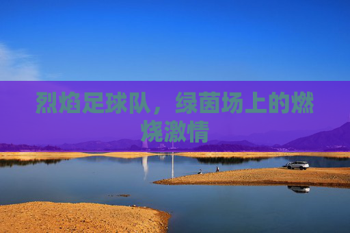烈焰足球队,绿茵场上的燃烧激情