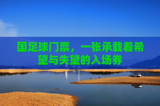 国足球门票，一张承载着希望与失望的入场券