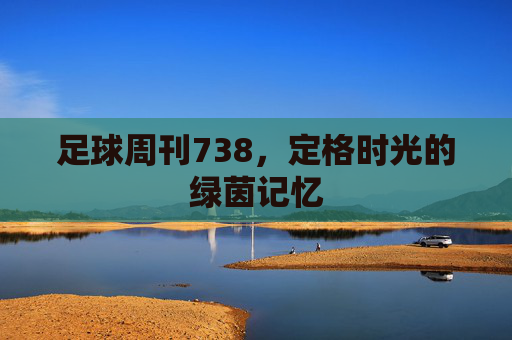 足球周刊738,定格时光的绿茵记忆