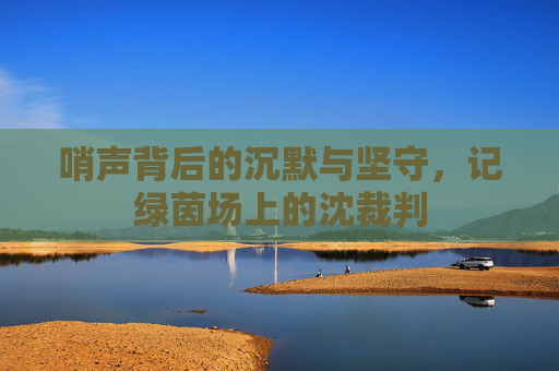 哨声背后的沉默与坚守,记绿茵场上的沈裁判