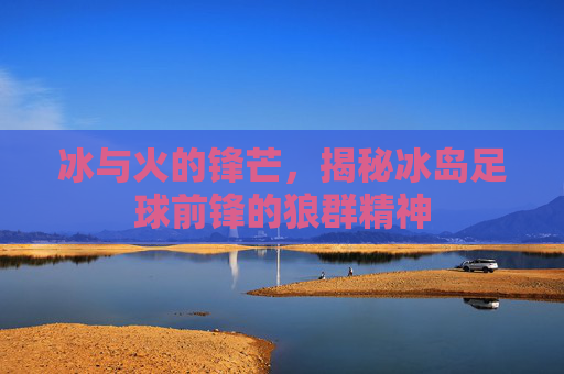 冰与火的锋芒，揭秘冰岛足球前锋的狼群精神