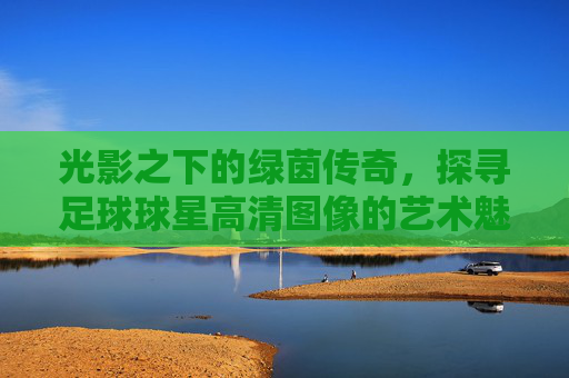 光影之下的绿茵传奇,探寻足球球星高清图像的艺术魅力