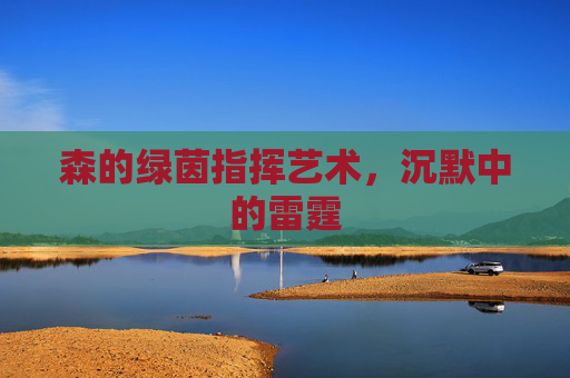森的绿茵指挥艺术，沉默中的雷霆