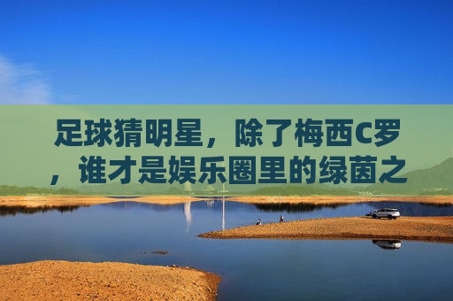 足球猜明星,除了梅西C罗,谁才是娱乐圈里的绿茵之王?