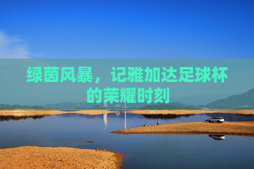 绿茵风暴，记雅加达足球杯的荣耀时刻