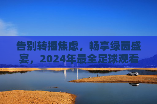 告别转播焦虑,畅享绿茵盛宴,2024年最全足球观看平台指南