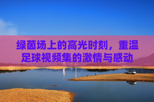 绿茵场上的高光时刻,重温足球视频集的激情与感动