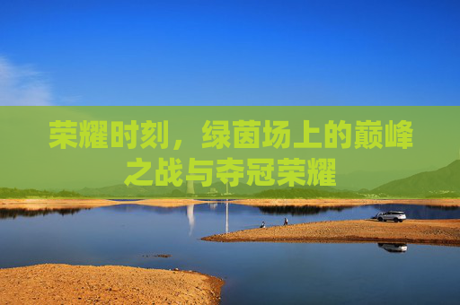 荣耀时刻,绿茵场上的巅峰之战与夺冠荣耀