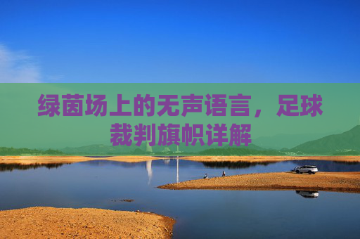 绿茵场上的无声语言,足球裁判旗帜详解