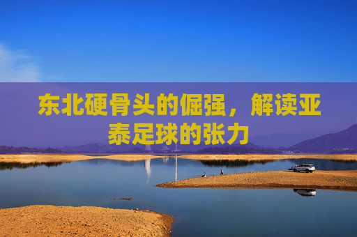 东北硬骨头的倔强,解读亚泰足球的张力