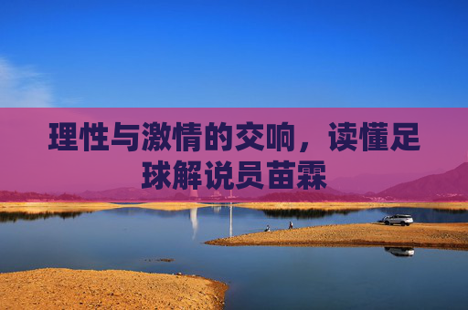 理性与激情的交响,读懂足球解说员苗霖