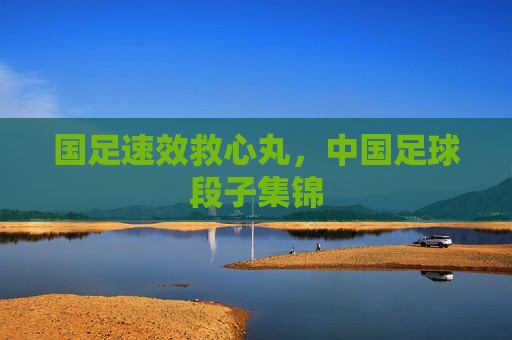 国足速效救心丸，中国足球段子集锦