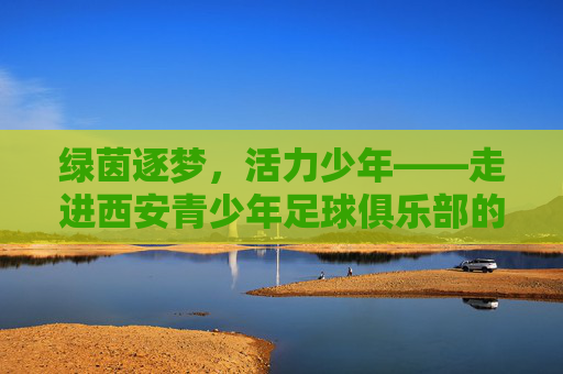 绿茵逐梦,活力少年——走进西安青少年足球俱乐部的世界