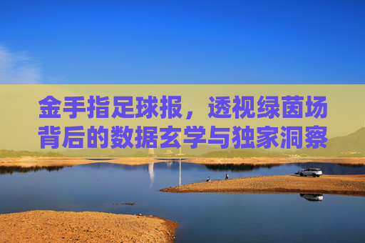 金手指足球报，透视绿茵场背后的数据玄学与独家洞察