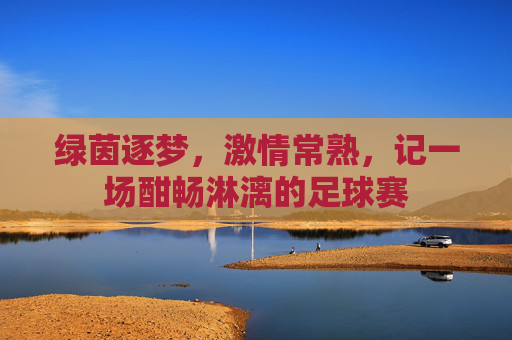 绿茵逐梦,激情常熟,记一场酣畅淋漓的足球赛
