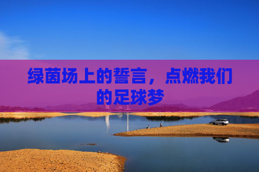 绿茵场上的誓言,点燃我们的足球梦