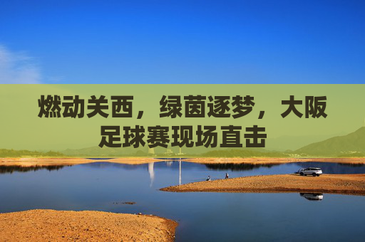 燃动关西,绿茵逐梦,大阪足球赛现场直击