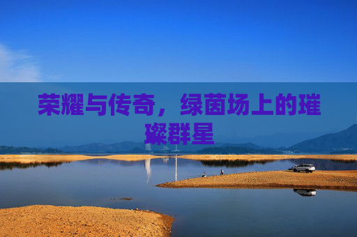 荣耀与传奇,绿茵场上的璀璨群星