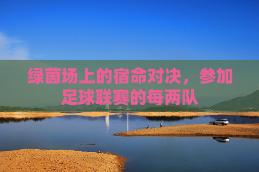 绿茵场上的宿命对决,参加足球联赛的每两队