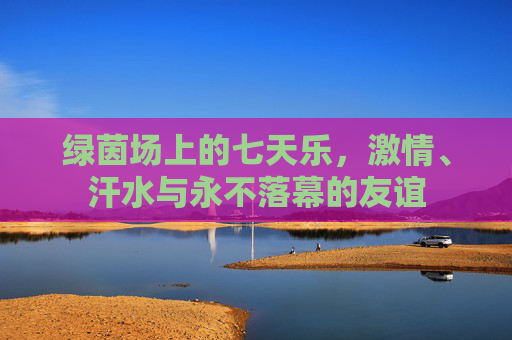 绿茵场上的七天乐,激情、汗水与永不落幕的友谊