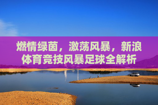 燃情绿茵,激荡风暴,新浪体育竞技风暴足球全解析