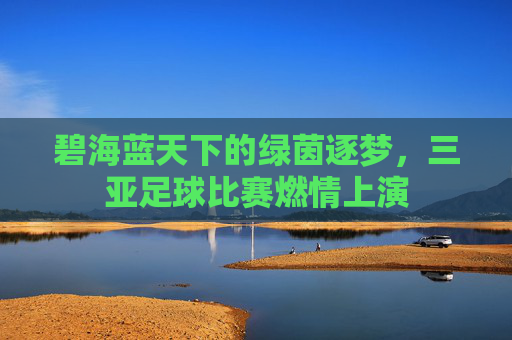 碧海蓝天下的绿茵逐梦,三亚足球比赛燃情上演