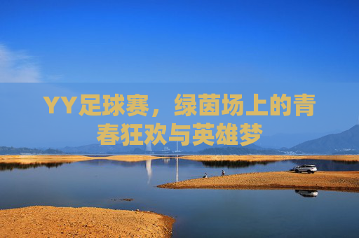 YY足球赛,绿茵场上的青春狂欢与英雄梦