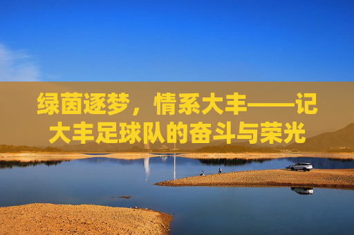 绿茵逐梦,情系大丰——记大丰足球队的奋斗与荣光