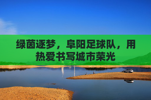 绿茵逐梦,阜阳足球队,用热爱书写城市荣光