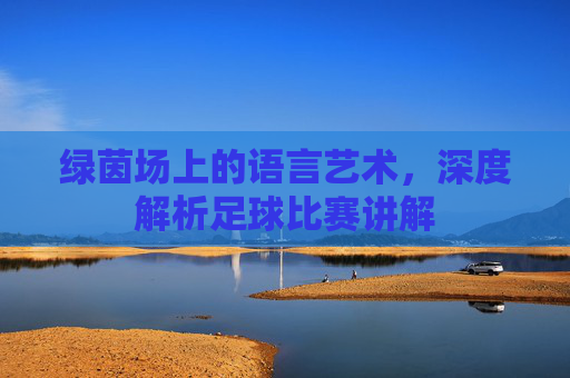 绿茵场上的语言艺术，深度解析足球比赛讲解