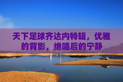 天下足球齐达内特辑,优雅的背影,绝唱后的宁静
