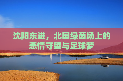 沈阳东进,北国绿茵场上的悲情守望与足球梦