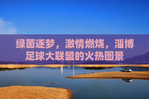 绿茵逐梦,激情燃烧,淄博足球大联盟的火热图景