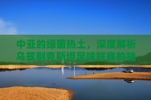 中亚的绿茵热土,深度解析乌兹别克斯坦足球联赛的独特魅力与崛起之路