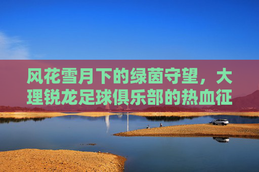 风花雪月下的绿茵守望,大理锐龙足球俱乐部的热血征程