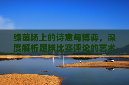 绿茵场上的诗意与博弈,深度解析足球比赛评论的艺术