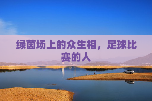 绿茵场上的众生相,足球比赛的人