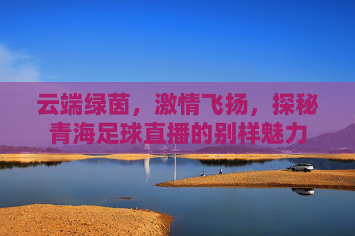 云端绿茵,激情飞扬,探秘青海足球直播的别样魅力