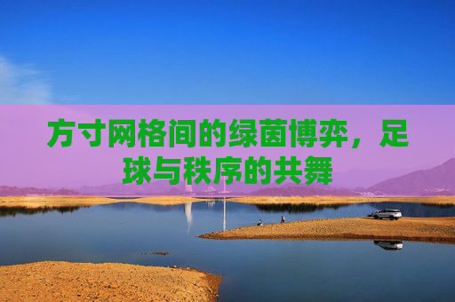 方寸网格间的绿茵博弈,足球与秩序的共舞