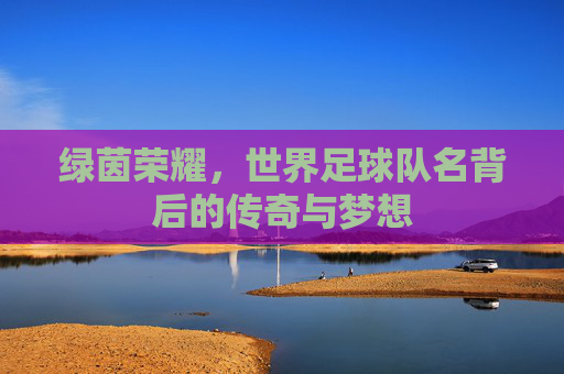 绿茵荣耀,世界足球队名背后的传奇与梦想