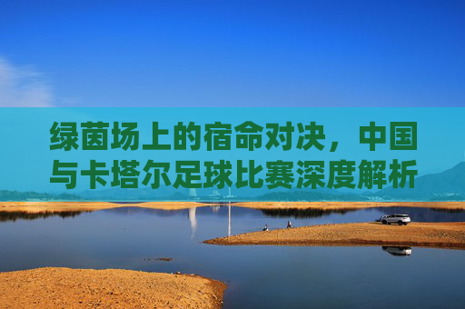 绿茵场上的宿命对决,中国与卡塔尔足球比赛深度解析