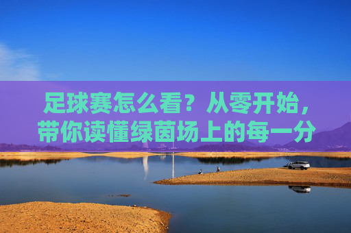 足球赛怎么看?从零开始,带你读懂绿茵场上的每一分钟
