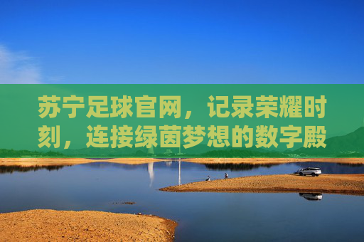 苏宁足球官网,记录荣耀时刻,连接绿茵梦想的数字殿堂