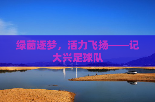 绿茵逐梦,活力飞扬——记大兴足球队