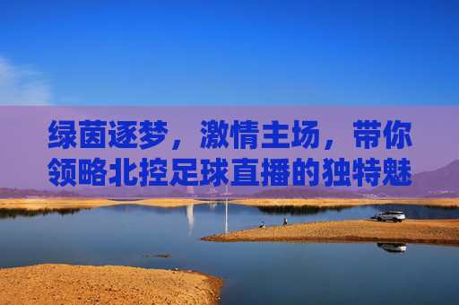 绿茵逐梦,激情主场,带你领略北控足球直播的独特魅力