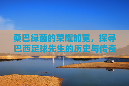 桑巴绿茵的荣耀加冕，探寻巴西足球先生的历史与传奇