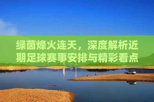 绿茵烽火连天,深度解析近期足球赛事安排与精彩看点