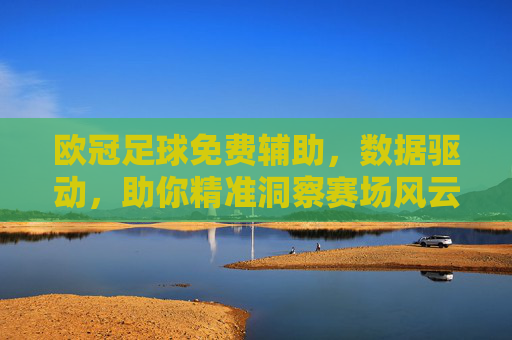 欧冠足球免费辅助,数据驱动,助你精准洞察赛场风云