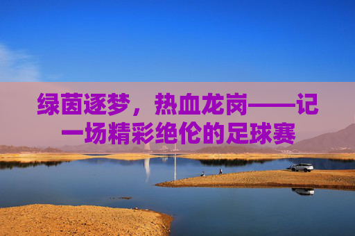 绿茵逐梦，热血龙岗——记一场精彩绝伦的足球赛
